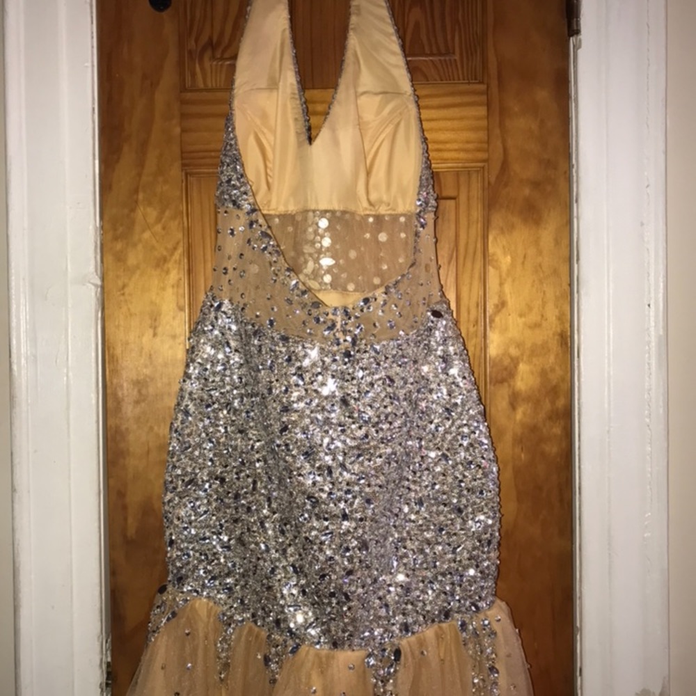 Gold/silver dress